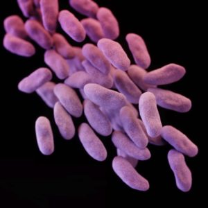 superbug CRE