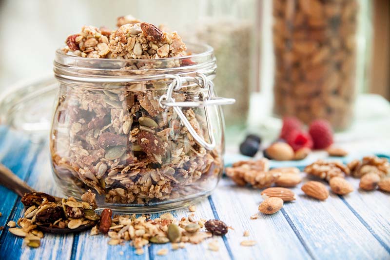 protein snacks