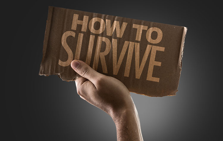 survival guide for accelerated nursing program