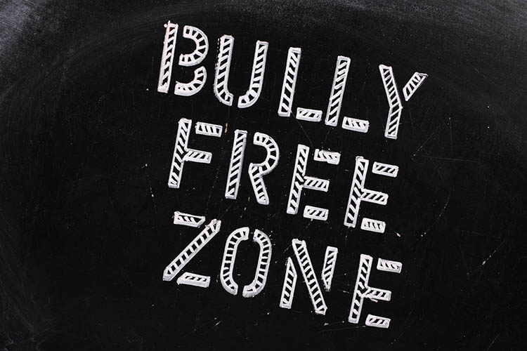 bully free zone