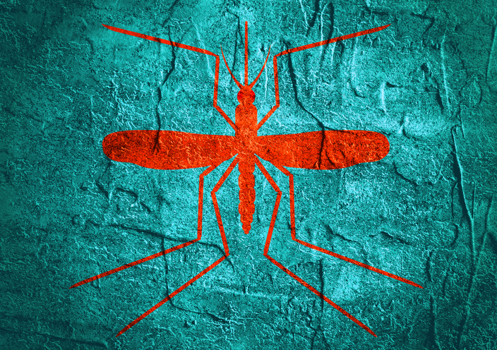 Zika mosquito