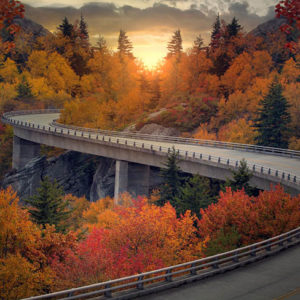 fall