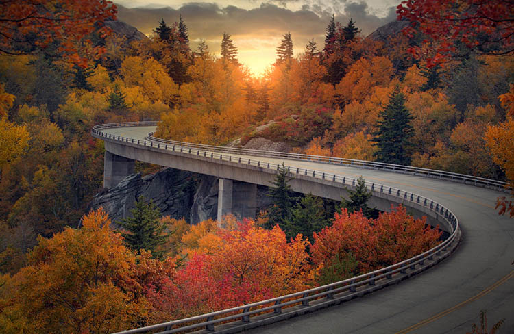 fall