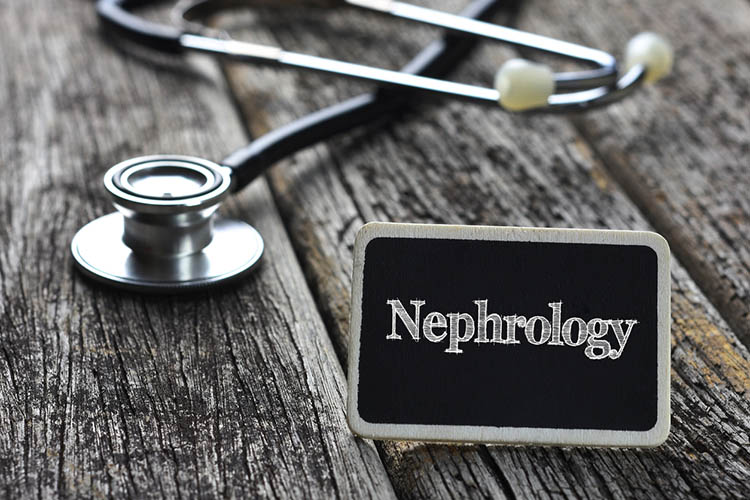 nephrology nursing