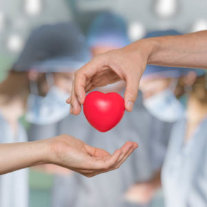 transplant nursing
