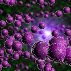 superbug
