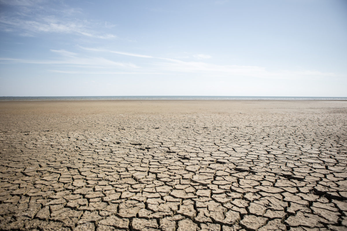Climate change effects can range from dry, cracked earth to floods.