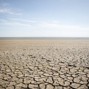 Climate change effects can range from dry, cracked earth to floods.