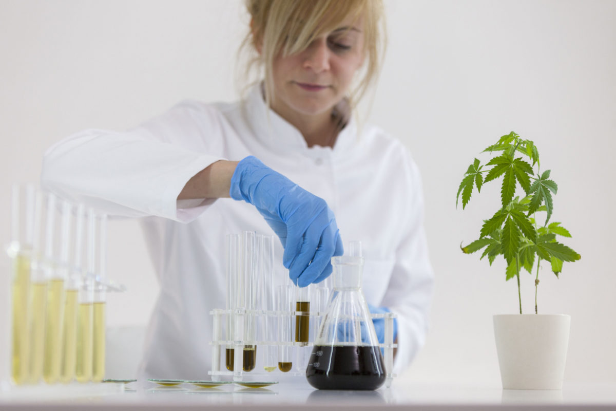 On 11/20/19 a new bill that would decriminalize cannabis nationally, allow states to make their own laws, and more passed in the House Judiciary Committee.