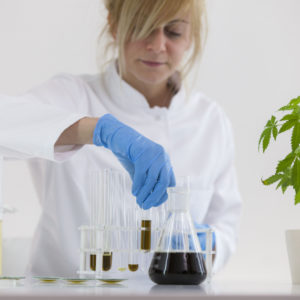 On 11/20/19 a new bill that would decriminalize cannabis nationally, allow states to make their own laws, and more passed in the House Judiciary Committee.