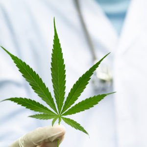 medical cannabis