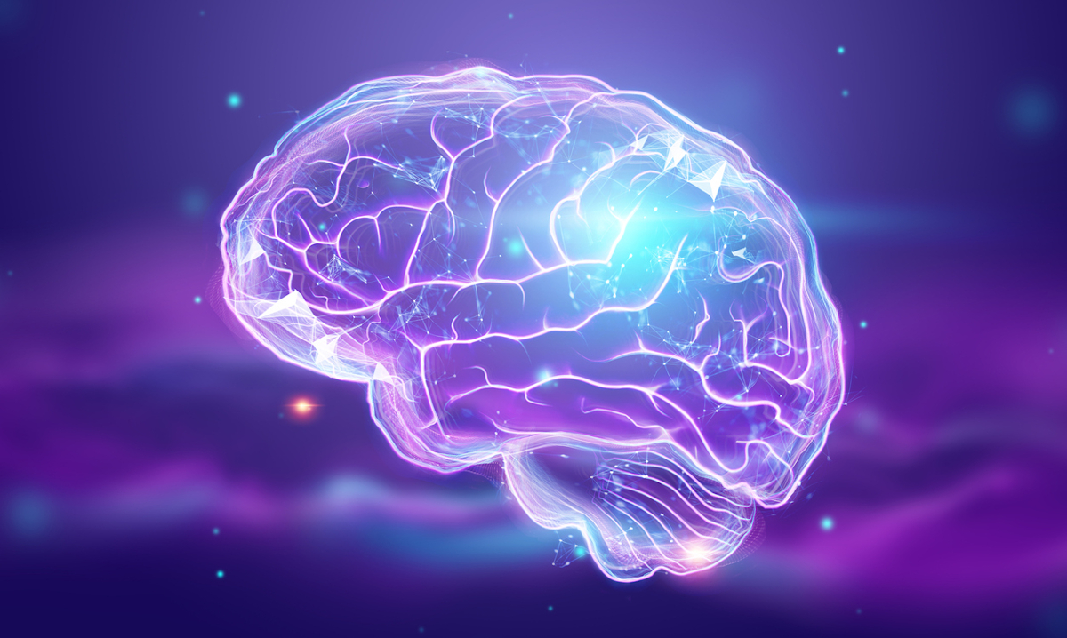 The human brain.
