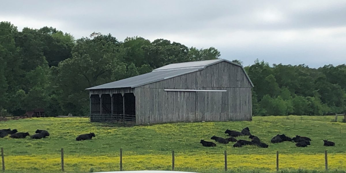 Shlagel Farms, LLC