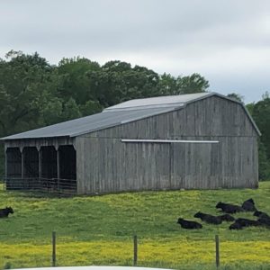 Shlagel Farms, LLC