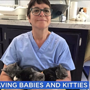 Nurse Diane Foxen with rescued kittens