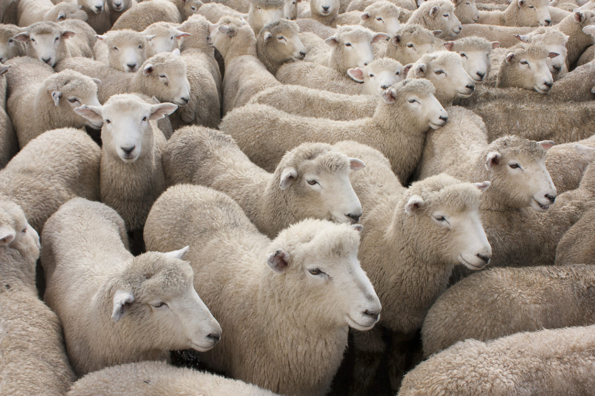 Many experts doubt that herd immunity is the answer to Covid.