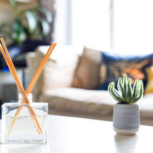 reducing stress with a zen den
