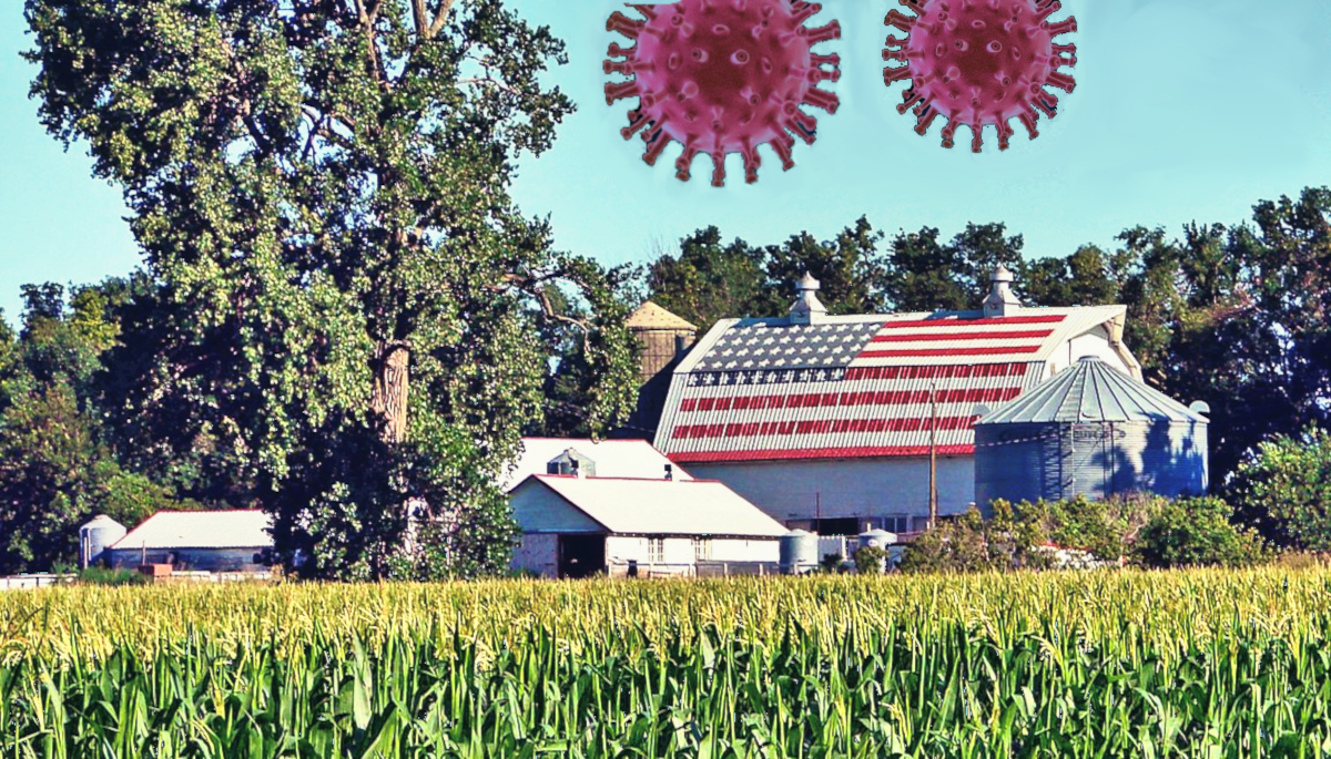 City hospitals are strained by influx of rural patients.