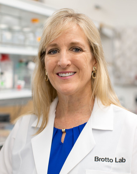 DonnaLee Pollack, RN, MSN, MPH, FNP-C, CWCN-AP