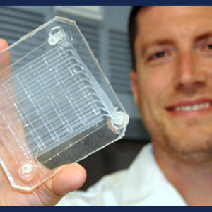 The VA fosters a culture of innovation among its employees.