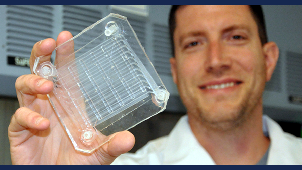 The VA fosters a culture of innovation among its employees.