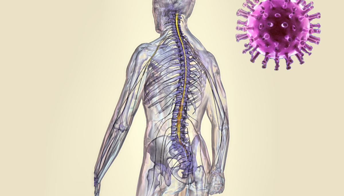 Sprinal cord injured patients (SCI) need special attention during the pandemic.