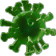 Covid virus, green.
