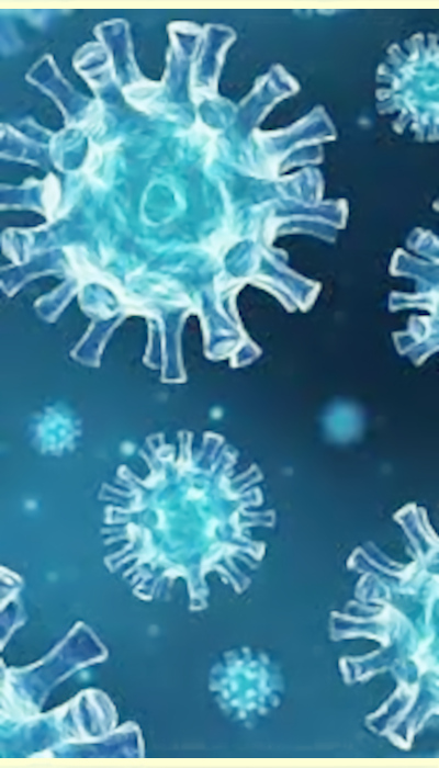covid-19 viruses