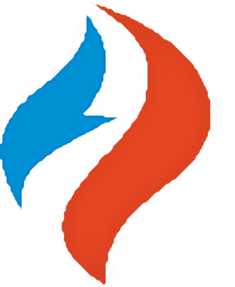 American Nurses Association (ANA) lamp flame symbol.