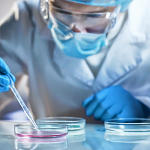 Nurse scientists have been far from idle during the pandemic.