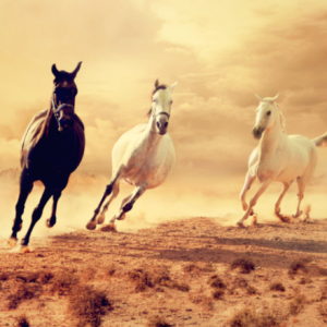 CRNAs unbridled.