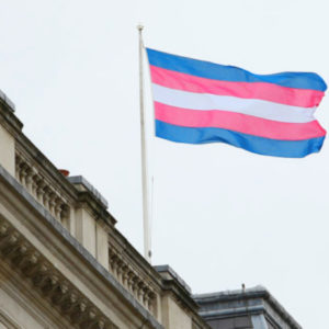 Transgender flag - cc wikimedia.
