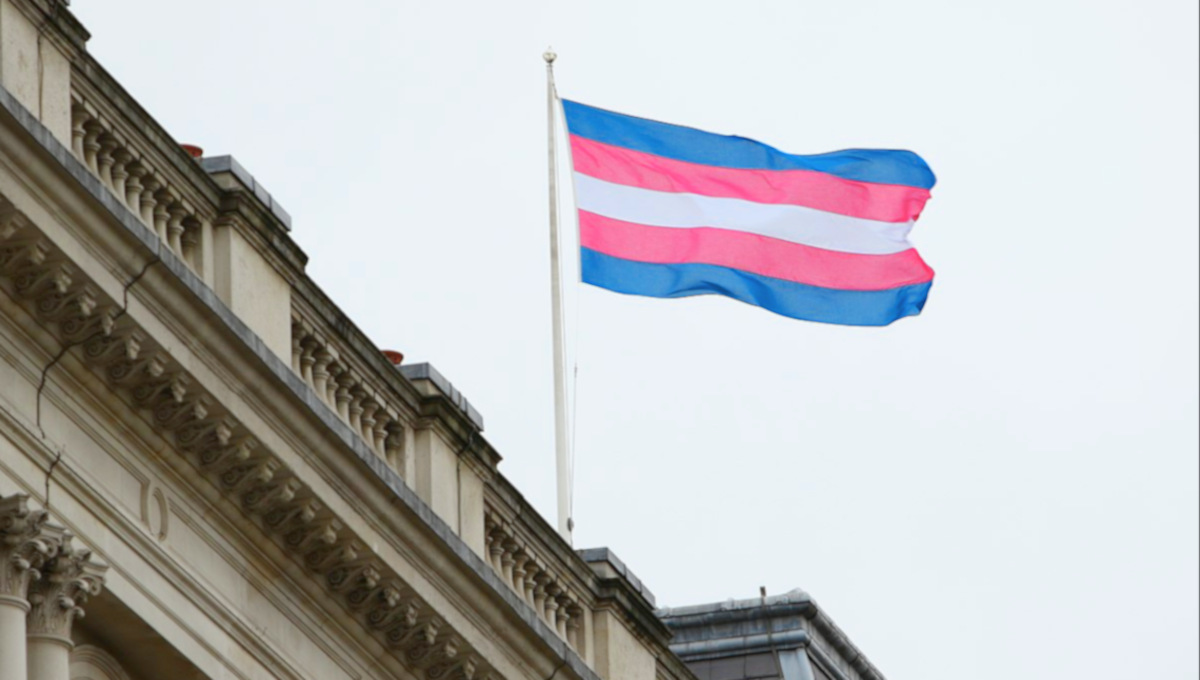 Transgender flag - cc wikimedia.