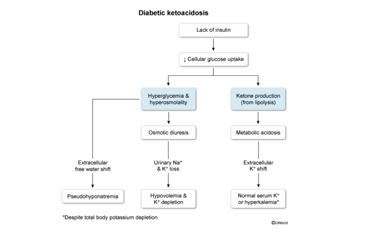 How Visuals Help Students Pass the NCLEX