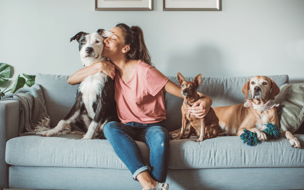 struggling-with-your-mental-health-adopt-a-pet