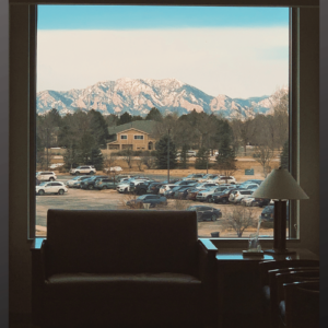 Illustration for article: A Nursing Holiday Tale: The Window and the Work