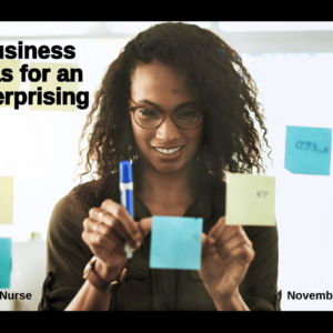 5-business-ideas-for-an-enterprising-np
