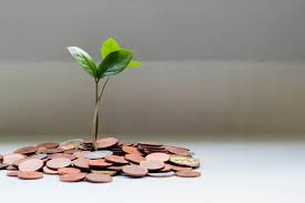 a stack of pennies with a small leafy plant growing out of it for financial planning