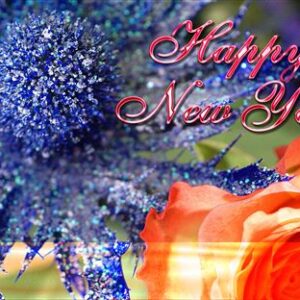 Tips to Make 2015 Different