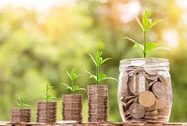 coins in a pile with sprouting plants for cash growth