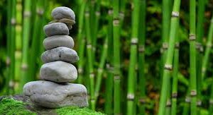 image of s stack of gray stones ina green bamboo garden for stress relief