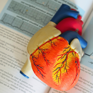 the-importance-of-cpr-certification-for-nurses-a-comprehensive-guide