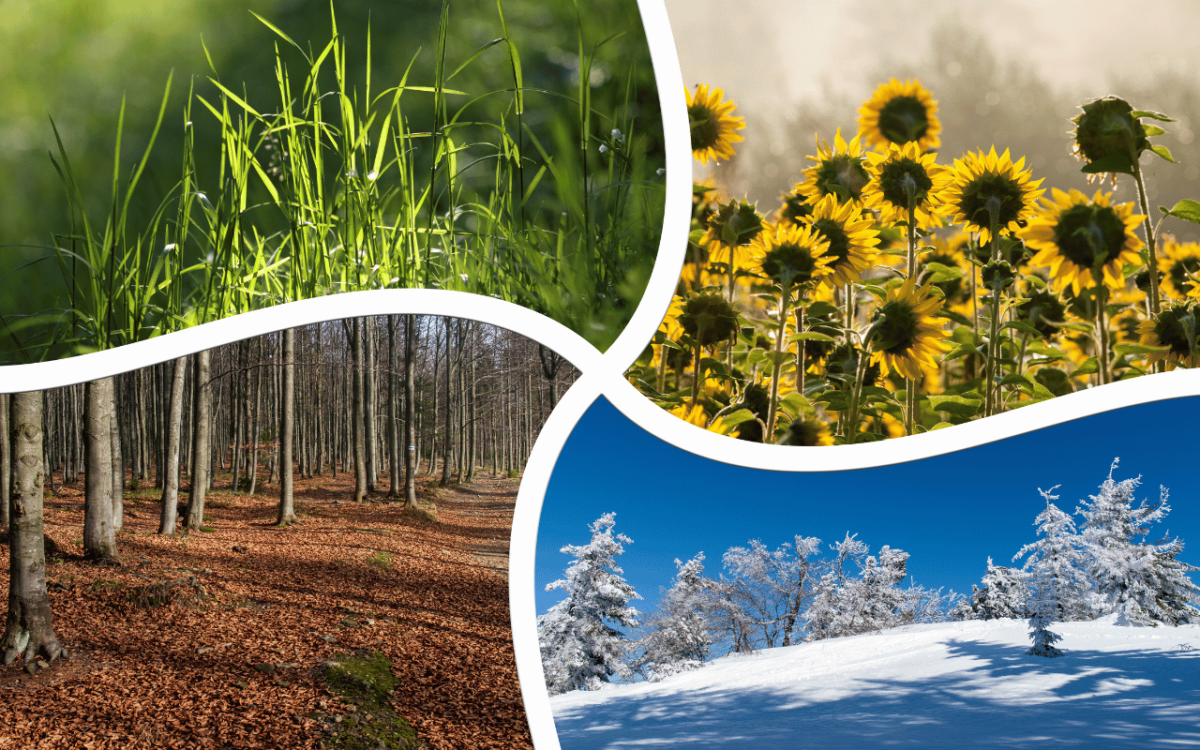 the-seasons-of-your-nursing-career