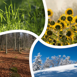 the-seasons-of-your-nursing-career